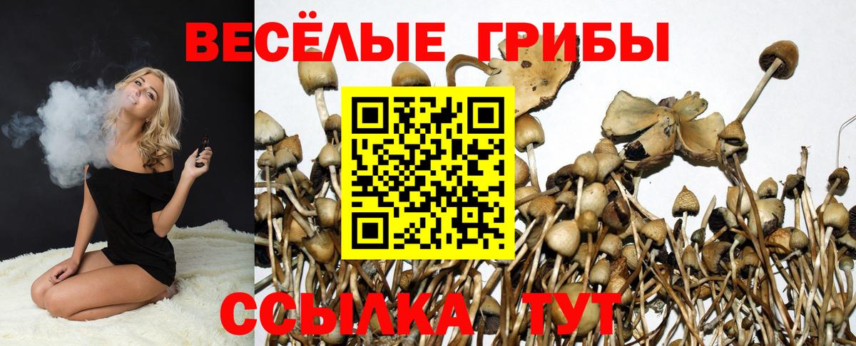 Псилоцибиновые грибы мухоморы  Вход с VPN  Галлюциногенные грибы Cubensis  Вязьма 